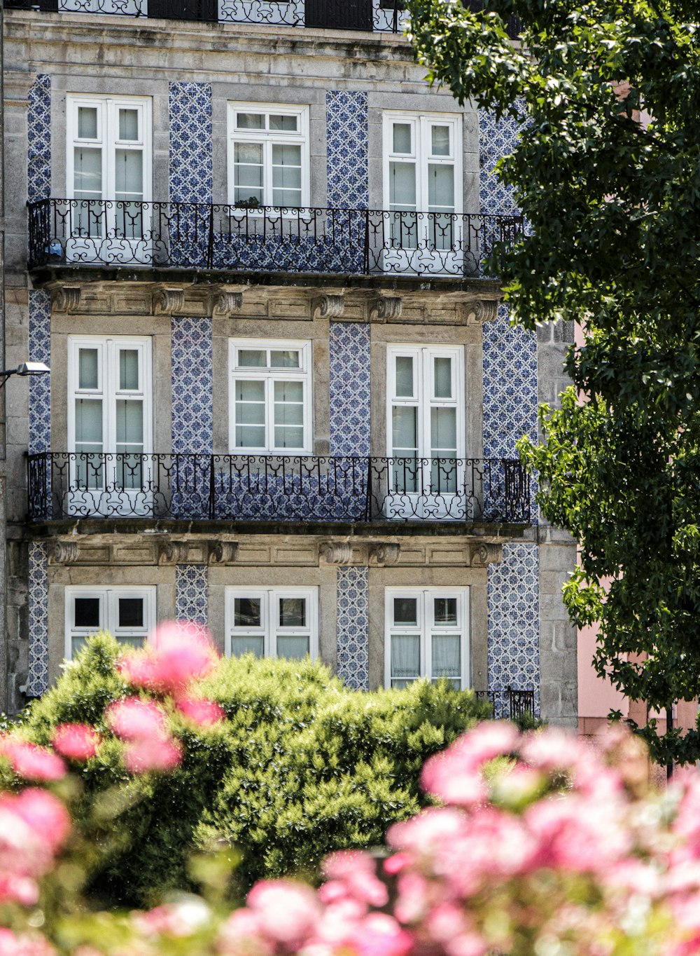 Immeuble de Porto couvert d'azulejos bleus et blancs, avec balcons en fer forgé, derrière un arbre et des fleurs roses
